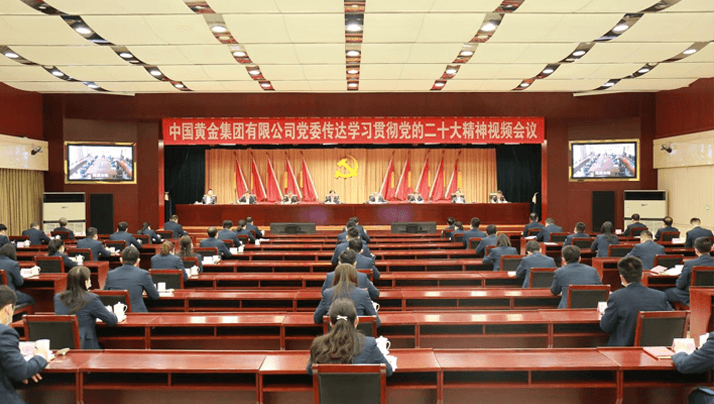 币游国际集團有限公司黨委傳達學習貫徹黨的二十大會議精神